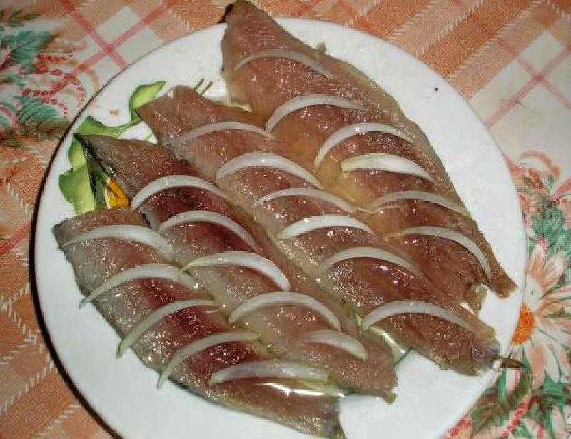Котлеты из свежей селедки рецепт с фото - здоровая еда