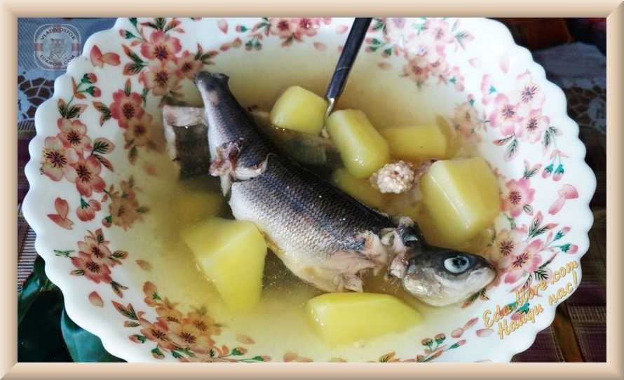 Рыба хариус – рецепт приготовления ухи, котлет, шашлыка, рулетов и других блюд