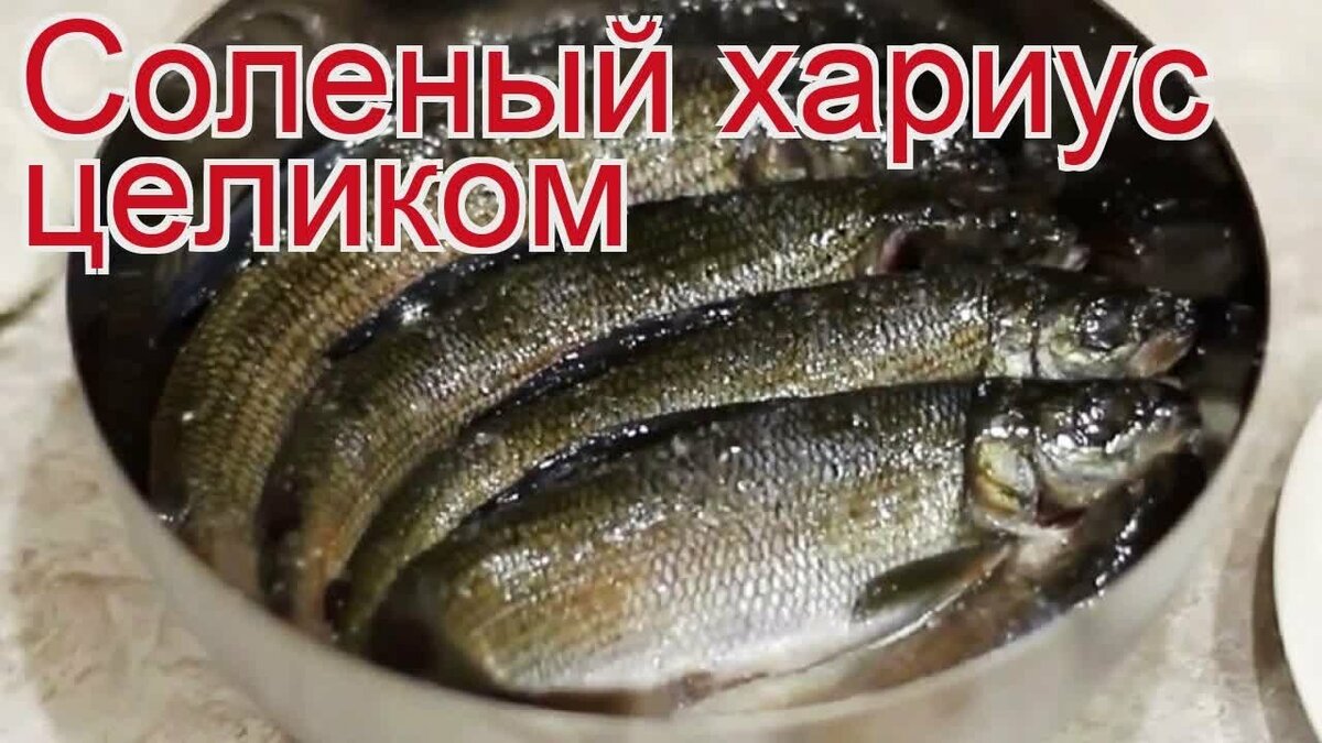 Рыбные котлеты (более 100 рецептов с фото) - рецепты с фотографиями