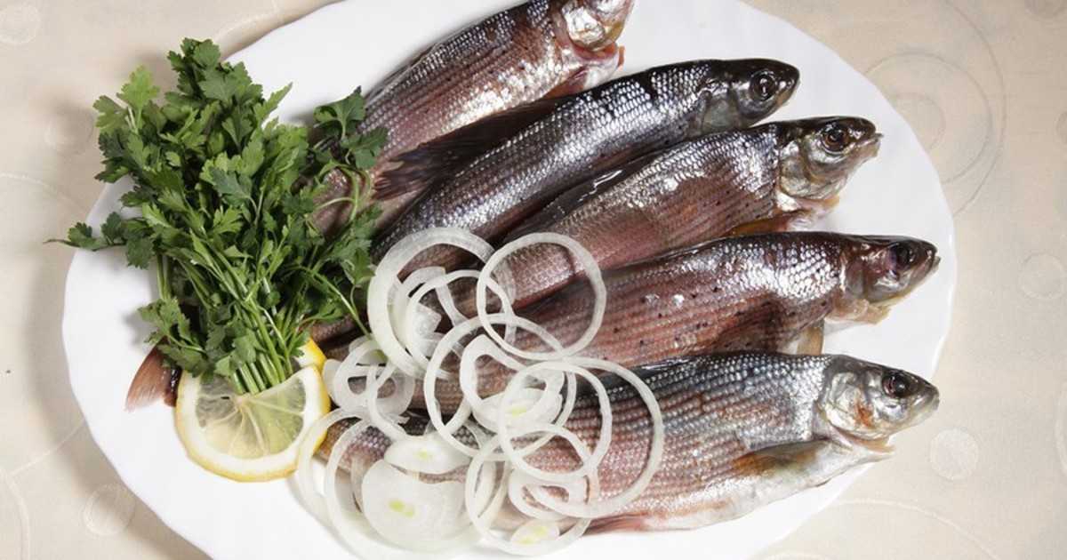 Котлеты из рыбы (более 100 рецептов с фото) - рецепты с фотографиями
