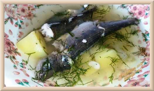 Рыбные котлеты (более 100 рецептов с фото) - рецепты с фотографиями